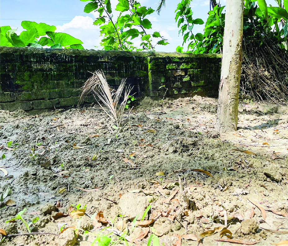 Image of মো. শাখিল আনোয়ার